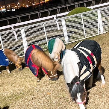 東京メガイルミに投稿された画像（2021/12/15）