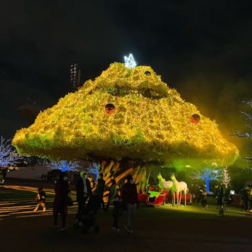 東京メガイルミに投稿された画像（2021/12/15）