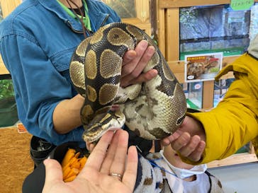 しろとり動物園に投稿された画像（2021/12/15）