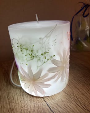 ずこうしつ〜sugamo〜に投稿された画像（2021/12/15）