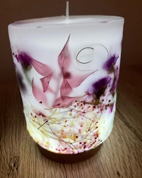 ずこうしつ〜sugamo〜に投稿された画像（2021/12/15）