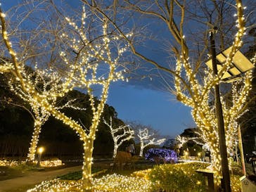 江の島シーキャンドルに投稿された画像（2021/12/15）