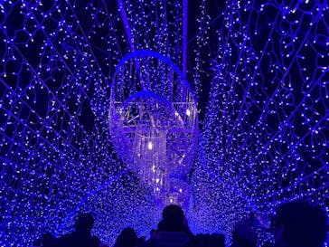 江の島シーキャンドルに投稿された画像（2021/12/15）