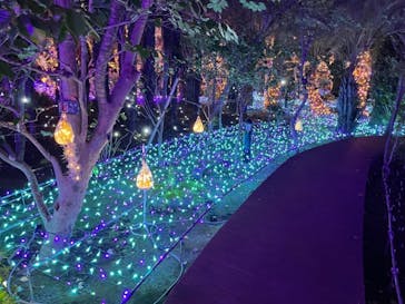 江の島シーキャンドルに投稿された画像（2021/12/15）