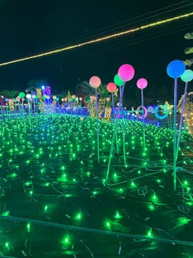 伊豆ぐらんぱる公園に投稿された画像（2021/12/15）