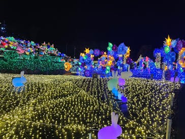 伊豆ぐらんぱる公園に投稿された画像（2021/12/15）