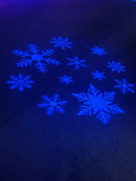 伊豆ぐらんぱる公園に投稿された画像（2021/12/15）