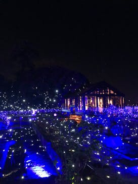 江の島シーキャンドルに投稿された画像（2021/12/15）