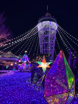 江の島シーキャンドルに投稿された画像（2021/12/15）