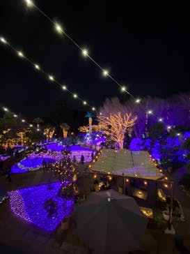 江の島シーキャンドルに投稿された画像（2021/12/15）