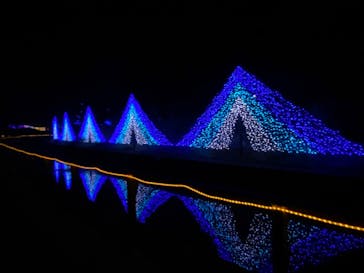 KYOTO ILLUMINATION SYNESTHESIA HILLS るり渓温泉に投稿された画像（2021/12/15）