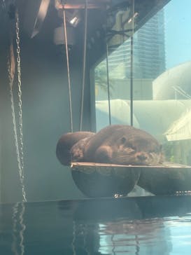 サンシャイン水族館に投稿された画像（2021/12/16）