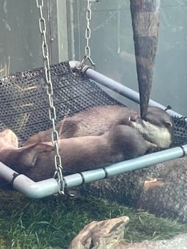 サンシャイン水族館に投稿された画像（2021/12/16）