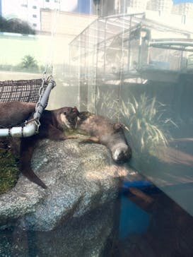 サンシャイン水族館に投稿された画像（2021/12/16）