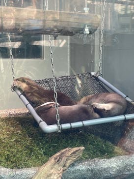 サンシャイン水族館に投稿された画像（2021/12/16）