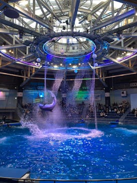 マクセル アクアパーク品川に投稿された画像（2021/12/16）