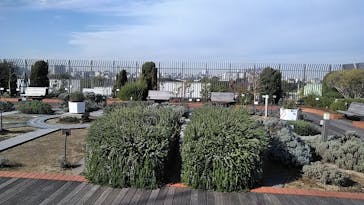 国立科学博物館に投稿された画像（2021/12/16）