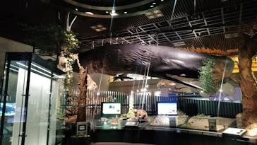 国立科学博物館に投稿された画像（2021/12/16）