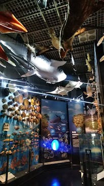 国立科学博物館に投稿された画像（2021/12/16）