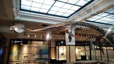 国立科学博物館に投稿された画像（2021/12/16）