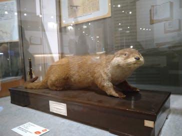 国立科学博物館に投稿された画像（2021/12/16）