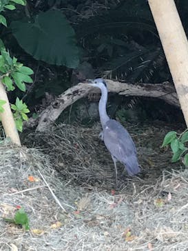 アスムイハイクスに投稿された画像（2021/12/16）