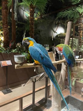 Moff animal world MARK IS みなとみらい店に投稿された画像（2021/12/16）