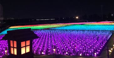 東京メガイルミに投稿された画像（2021/12/16）