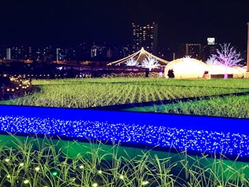 東京メガイルミに投稿された画像（2021/12/16）