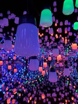 森ビル デジタルアート ミュージアム：エプソン チームラボボーダレスに投稿された画像（2021/12/16）