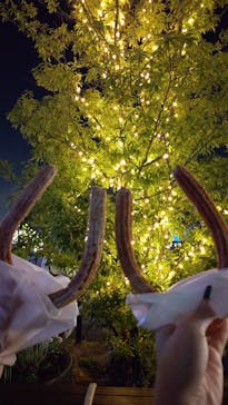 東京メガイルミに投稿された画像（2021/12/16）