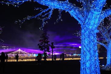 東京メガイルミに投稿された画像（2021/12/16）