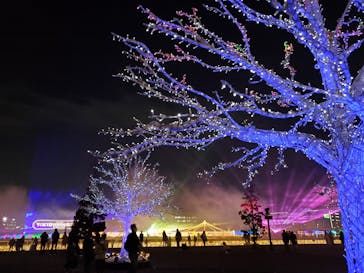 東京メガイルミに投稿された画像（2021/12/16）