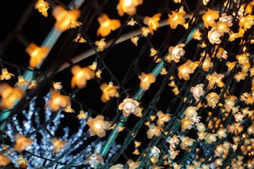 東京メガイルミに投稿された画像（2021/12/16）