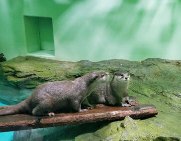 しながわ水族館に投稿された画像（2021/12/16）