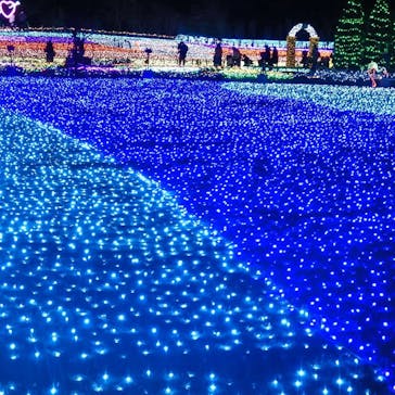 東武動物公園に投稿された画像（2021/12/16）