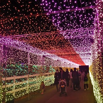 東武動物公園に投稿された画像（2021/12/16）