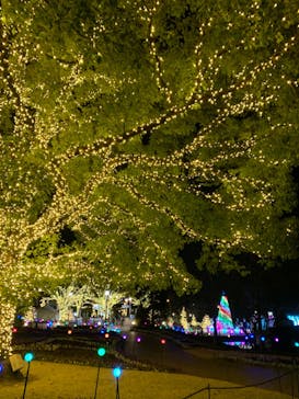 安城産業文化公園デンパークに投稿された画像（2021/12/16）