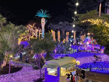 江の島シーキャンドルに投稿された画像（2021/12/16）