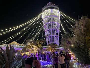 江の島シーキャンドルに投稿された画像（2021/12/16）