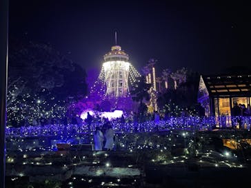 江の島シーキャンドルに投稿された画像（2021/12/16）