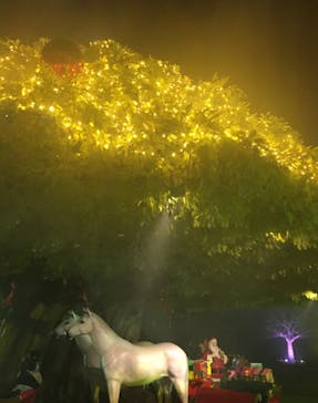 東京メガイルミに投稿された画像（2021/12/16）