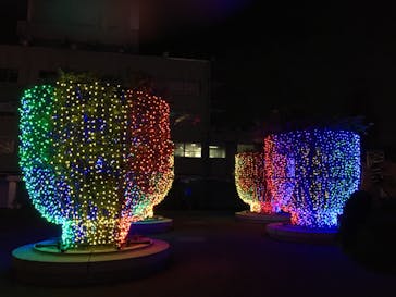 東京メガイルミに投稿された画像（2021/12/16）