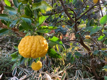 鳩山会館に投稿された画像（2021/12/17）
