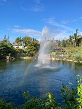 美らヤシパークオキナワ・東南植物楽園に投稿された画像（2021/12/17）