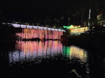 美らヤシパークオキナワ・東南植物楽園に投稿された画像（2021/12/17）