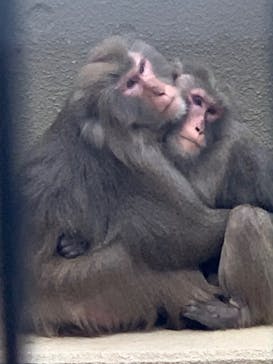 沖縄こどもの国に投稿された画像（2021/12/17）