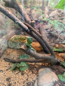 沖縄こどもの国に投稿された画像（2021/12/17）