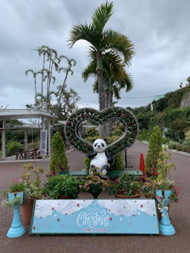 沖縄こどもの国に投稿された画像（2021/12/17）