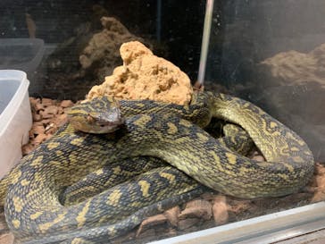 沖縄こどもの国に投稿された画像（2021/12/17）